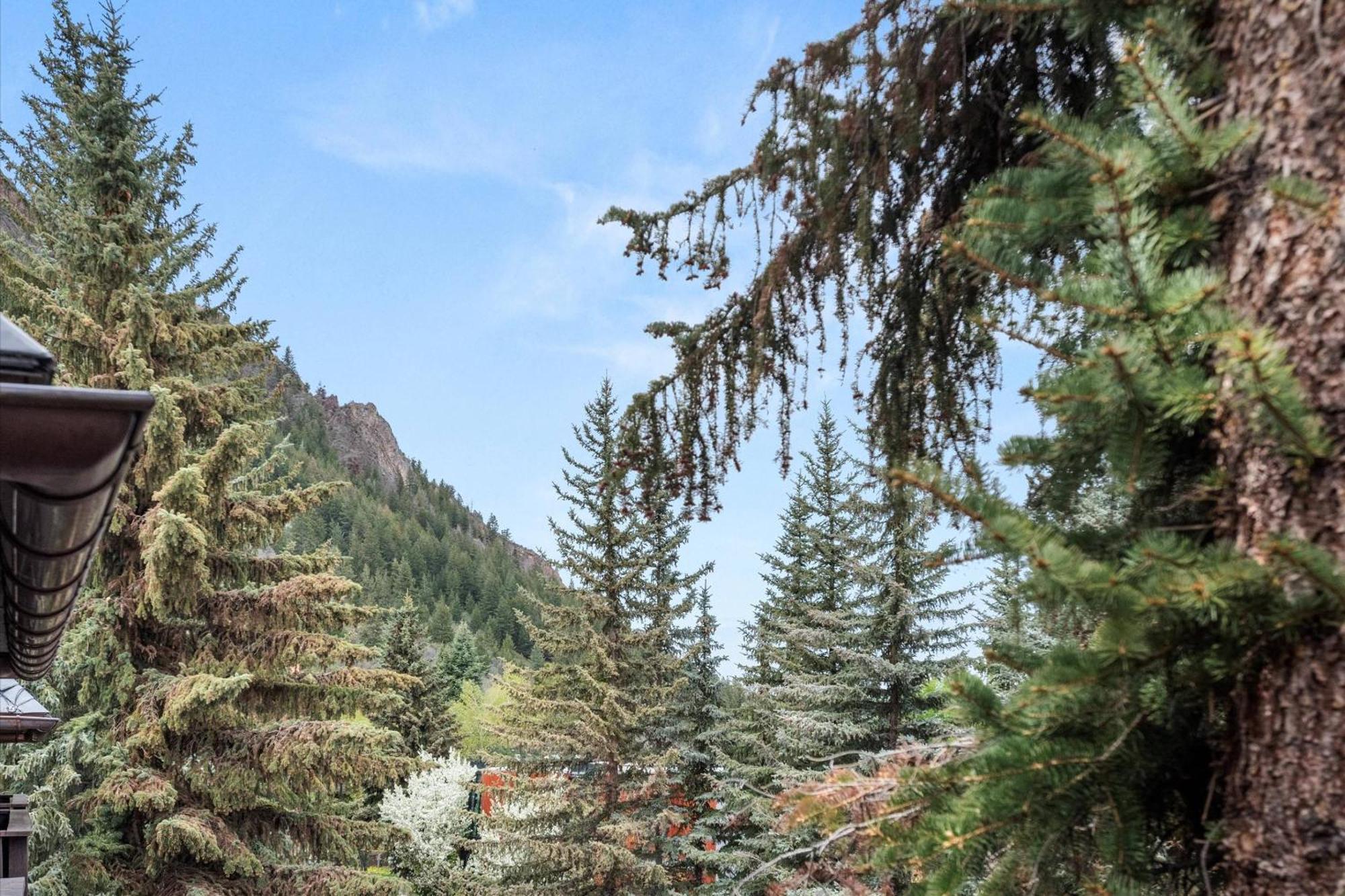 Dolomite 8 Dom wakacyjny Aspen